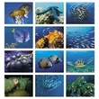 Good Value™ Ocean Glory - Stapled Calendar | https://www.bestnamebadges.com