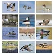 Good Value™ Waterfowl - Stapled Calendar | https://www.bestnamebadges.com