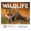 Good Value™ Wildlife Portraits - Stapled Calendar | https://www.bestnamebadges.com