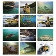 Good Value™ Fishing - Stapled Calendar | https://www.bestnamebadges.com