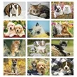 Products Four Paws Appointment Calendar - Stapled | https://www.bestnamebadges.com