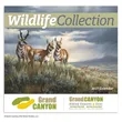 Products Wildlife Collection Appointment Calendar - Stapled | https://www.bestnamebadges.com