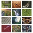 Good Value™ View from Above - Stapled Calendar | https://www.bestnamebadges.com