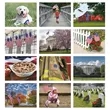 Good Value™ Celebrate America - Window Calendar | https://www.bestnamebadges.com