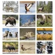 Triumph® Calendars Sportsman Calendar | https://www.bestnamebadges.com