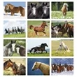 Triumph® Calendars Horses Calendar | https://www.bestnamebadges.com