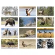 Triumph® Calendars North American Wildlife Calendar | https://www.bestnamebadges.com