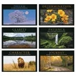 Triumph® Calendars Motivations Calendar | https://www.bestnamebadges.com