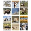 Triumph® Calendars Sportsman Calendar | https://www.bestnamebadges.com