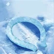 Outdoor Cooling Ice Neck Ring | https://www.bestnamebadges.com