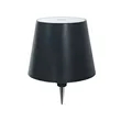 Embedded LED Wine Bottle Table Lamp | https://www.bestnamebadges.com
