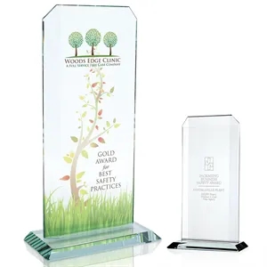JAFFA® Starfire Echo Award - Large | https://www.bestnamebadges.com