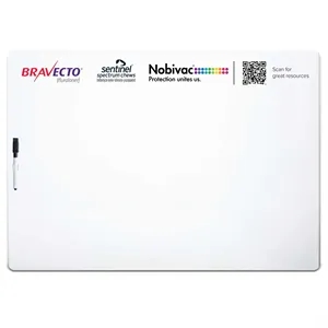 Write-On Wipe-Off Boards 27"w X 19" H