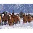 Triumph® Calendars Horses Calendar | https://www.bestnamebadges.com