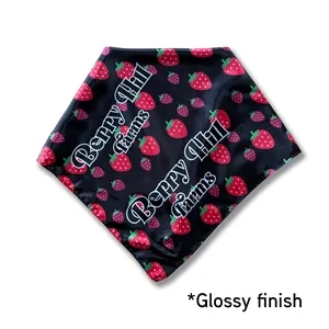 Gloss Satin Bandana