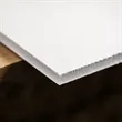 Custom Lunar New Year Big Checks | https://www.bestnamebadges.com