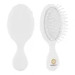 Travel Hair Brush | https://www.bestnamebadges.com