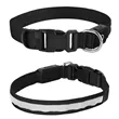 Light Up Rechargable Pet Collar - Medium | https://www.bestnamebadges.com