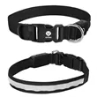 Light Up Rechargable Pet Collar - Medium | https://www.bestnamebadges.com