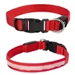 Light Up Rechargable Pet Collar - Medium | https://www.bestnamebadges.com
