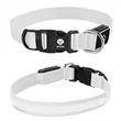 Light Up Rechargable Pet Collar - Medium | https://www.bestnamebadges.com