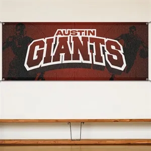 Custom 2' X 5' Mesh Banners