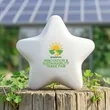 Custom Star Stress Reliever | https://www.bestnamebadges.com
