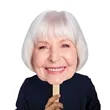 Face Cutout Hand Fans | https://www.bestnamebadges.com