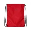 Oakley Team Issue Drawstring Backpack - FOS901632 | https://www.bestnamebadges.com