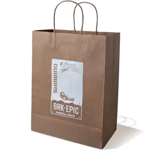 10 X 13 Inch Custom Twisted Handle Paper Shopping Bags