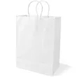 10 X 13 Inch Custom Twisted Handle Paper Shopping Bags | https://www.bestnamebadges.com