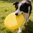 9" Round Solid Colors Plastic Flying Disc | https://www.bestnamebadges.com