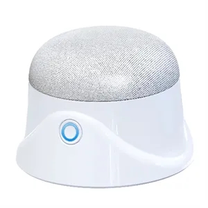 Mini Magnetic Speaker
