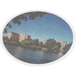 Paperboard Coaster, Factory Direct