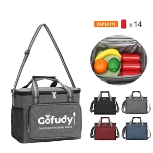 Daylife Insulated Lunch Box Soft Cooler