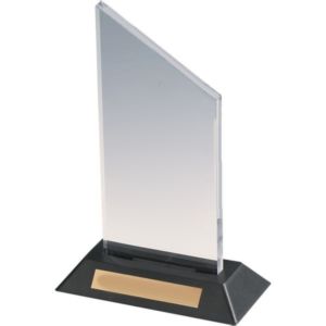 Clear Acrylic Award with Plate