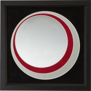 Framed Award