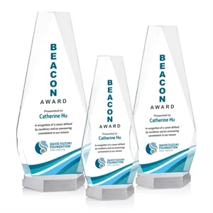 Paulson VividPrint™ Award