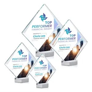Bryce VividPrint™ Award