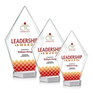 Ellicott VividPrint™ Award