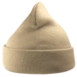 Atlantis Headwear Sustainable 12" Knit Beanie - WIND