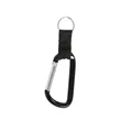 Carabiner With Strap And Split Ring Keychain | https://www.bestnamebadges.com