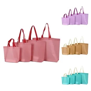 Non Woven Goody Bag