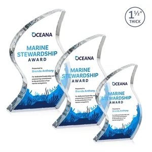 Nexis VividPrint™ Award