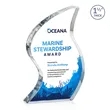Nexis VividPrint™ Award | https://www.bestnamebadges.com