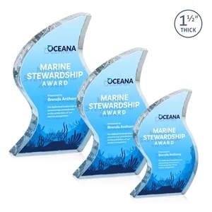 Nexis VividPrint™ Double Sided Award