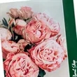 9 X 12 Inch Full Color Two-Pocket Presentation Folders | https://www.bestnamebadges.com
