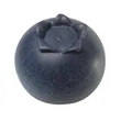 Custom Blueberry Stress Reliever | https://www.bestnamebadges.com