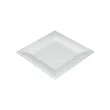 Biodegradable Disposable Square Plates | https://www.bestnamebadges.com