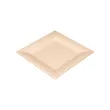 Biodegradable Disposable Square Plates | https://www.bestnamebadges.com